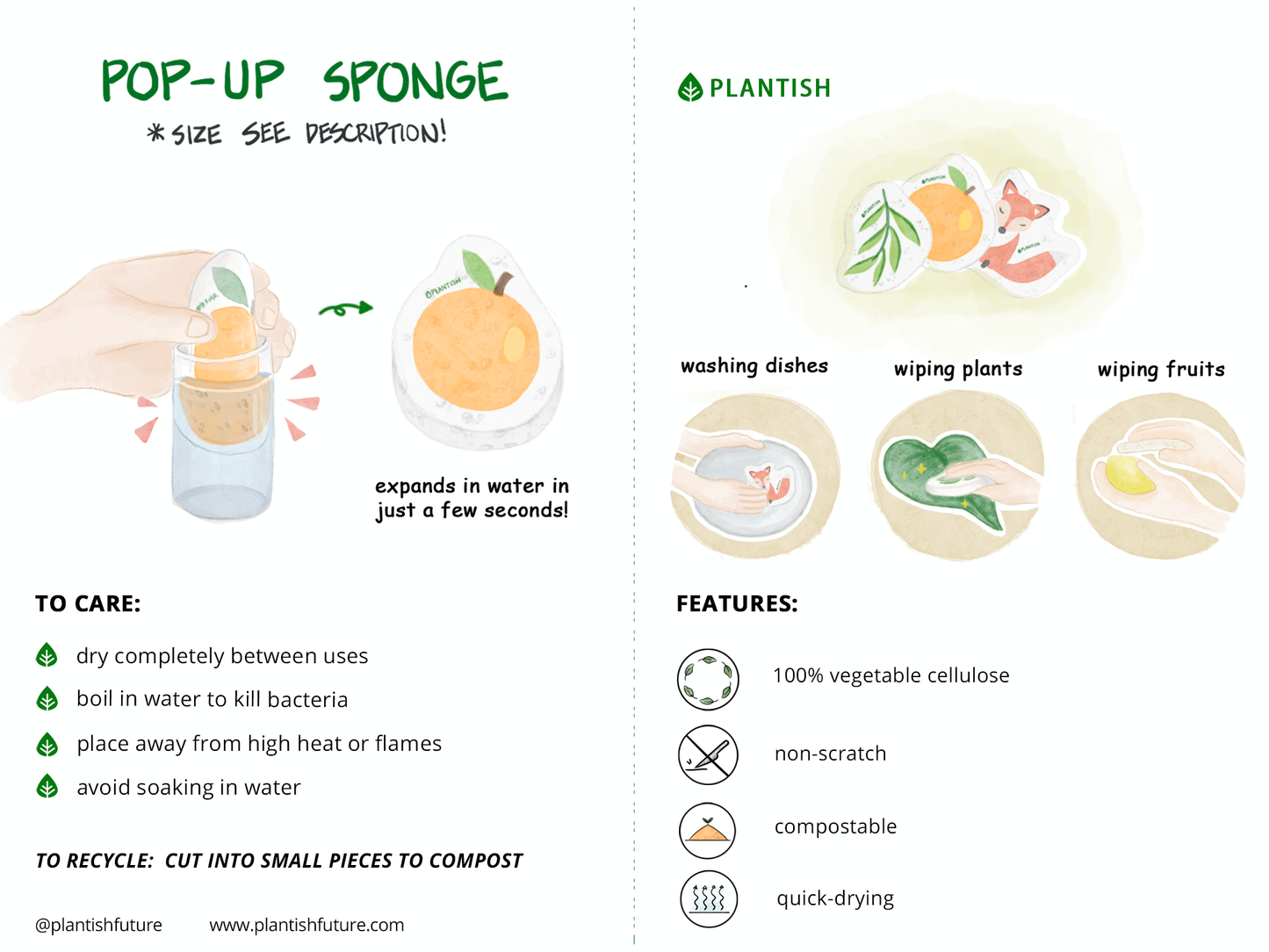 Corgi - Pop up Sponge